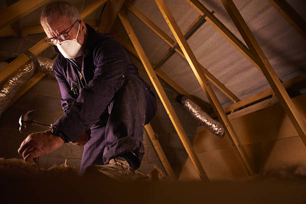 Best Insulation Maintenance and Repair in Pasco, WA